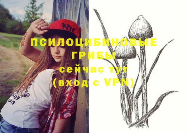 прущая мука Абинск