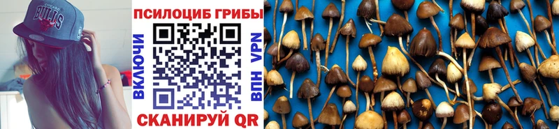 МЕГА сайт  Партизанск  Псилоцибиновые грибы Magic Shrooms 